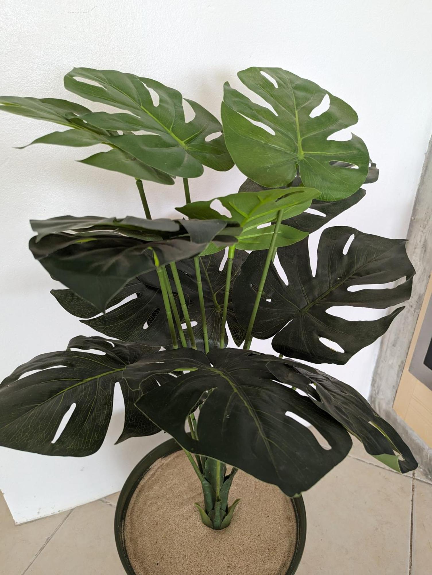 Tropical Leaves Sea View Penthouse Ca Greta 2 Floor Daire Sal Rei Dış mekan fotoğraf